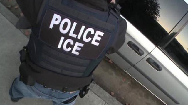 Man fleeing immigration officers in Florida is struck and killed by tractor trailer, police say