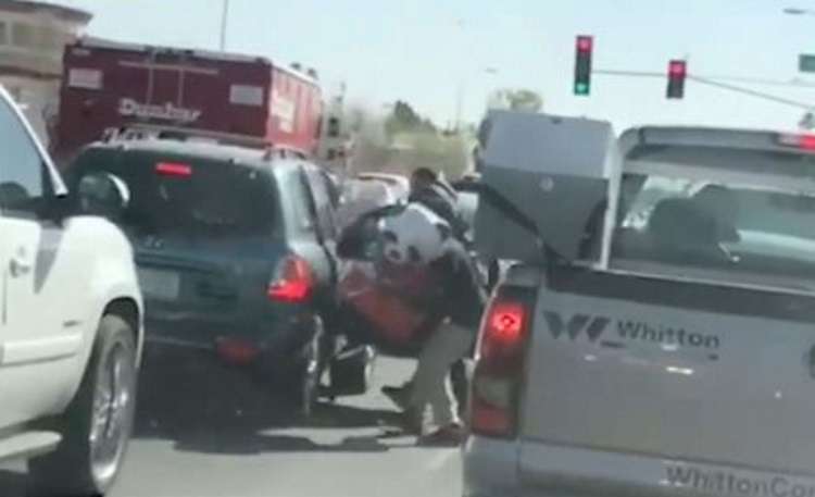 Roadside vendor stops thieves from stealing giant teddy bears for ...