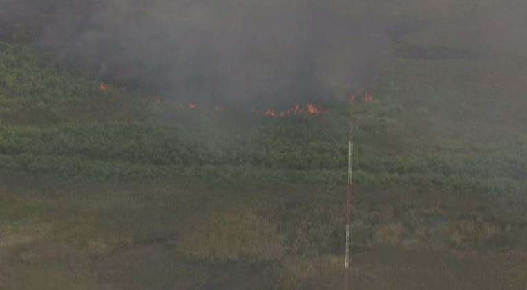 Crews perform controlled brush burn in Everglades - WSVN 7News | Miami ...