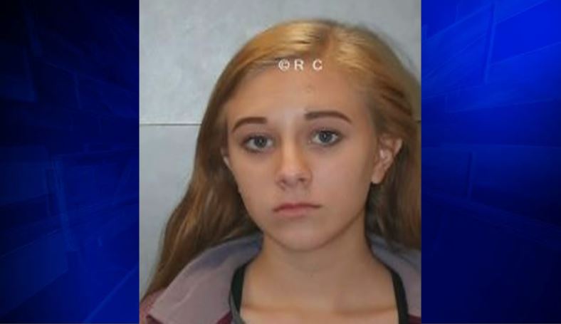 Dylann Roof's sister accused of bringing weapons to school ...
