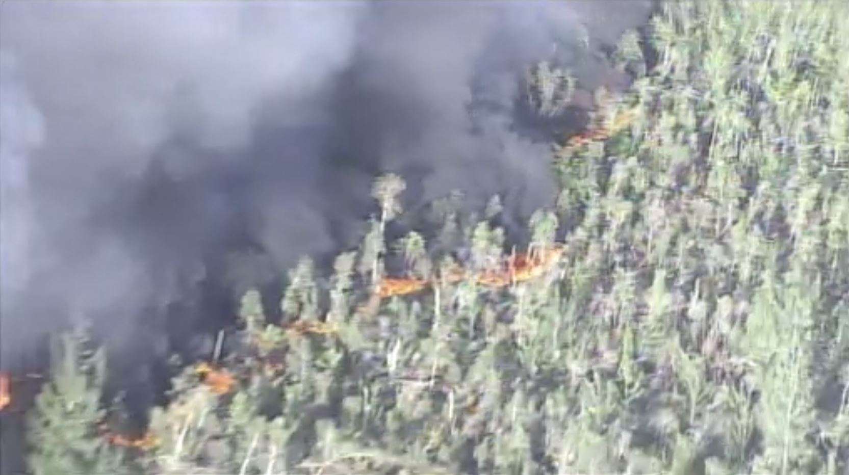 Brush fire burns over 700 acres in West Miami-Dade - WSVN 7News | Miami ...