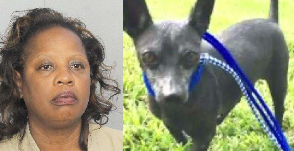 Pembroke Pines woman arrested after dog found tied to fence with ...