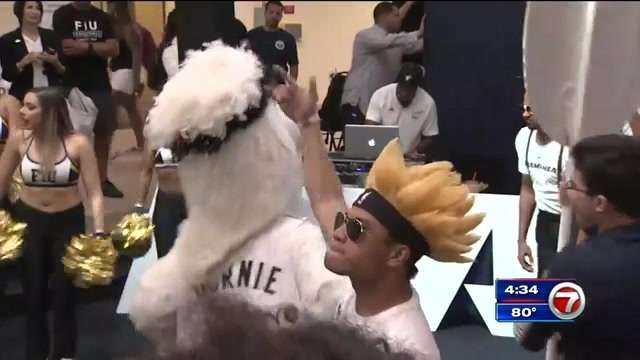 Miami Heat pep rally held at FIU ahead of 1st playoff game - WSVN 7News ...