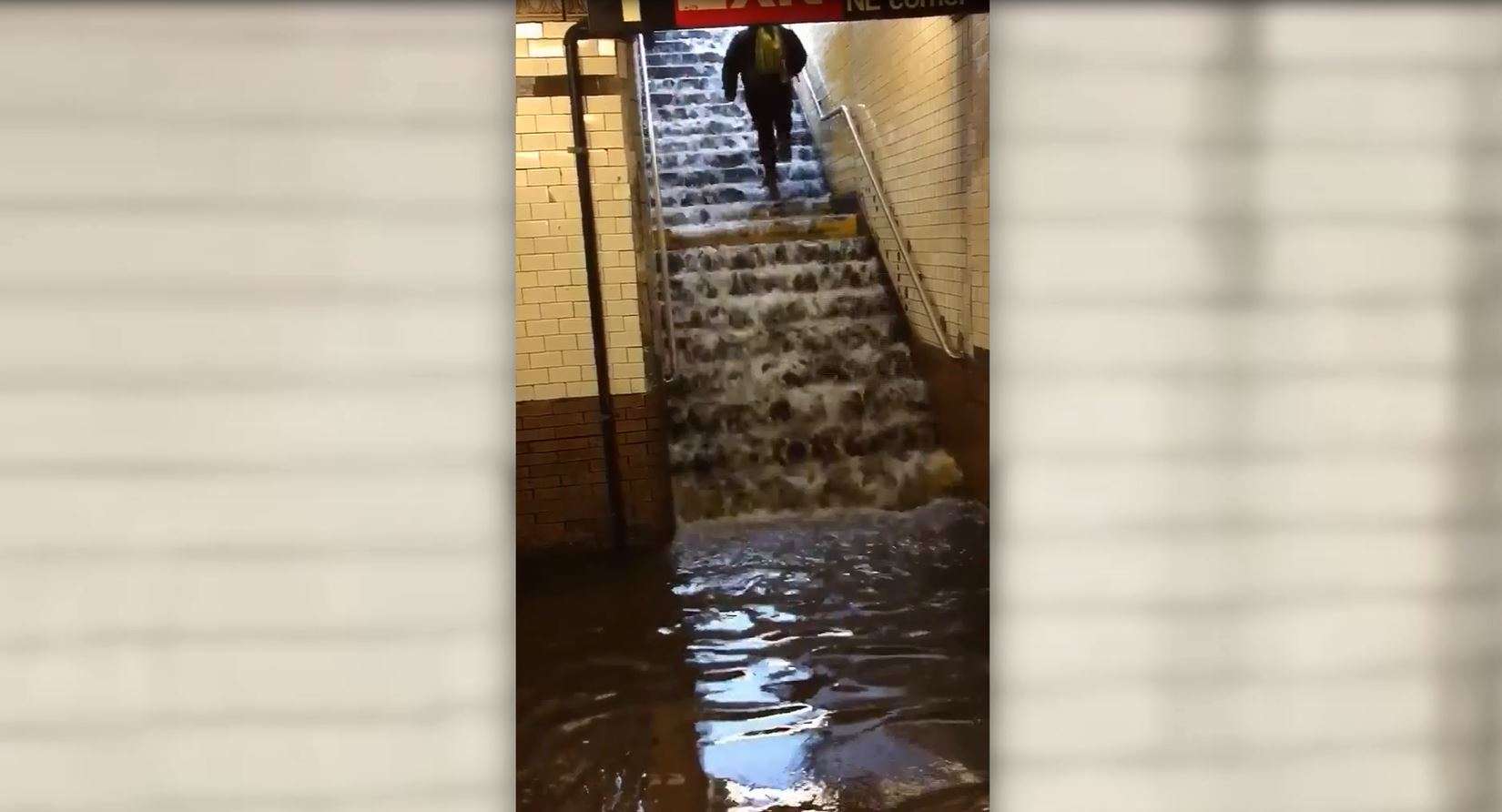 Heavy rain floods New York City subway - WSVN 7News | Miami News ...