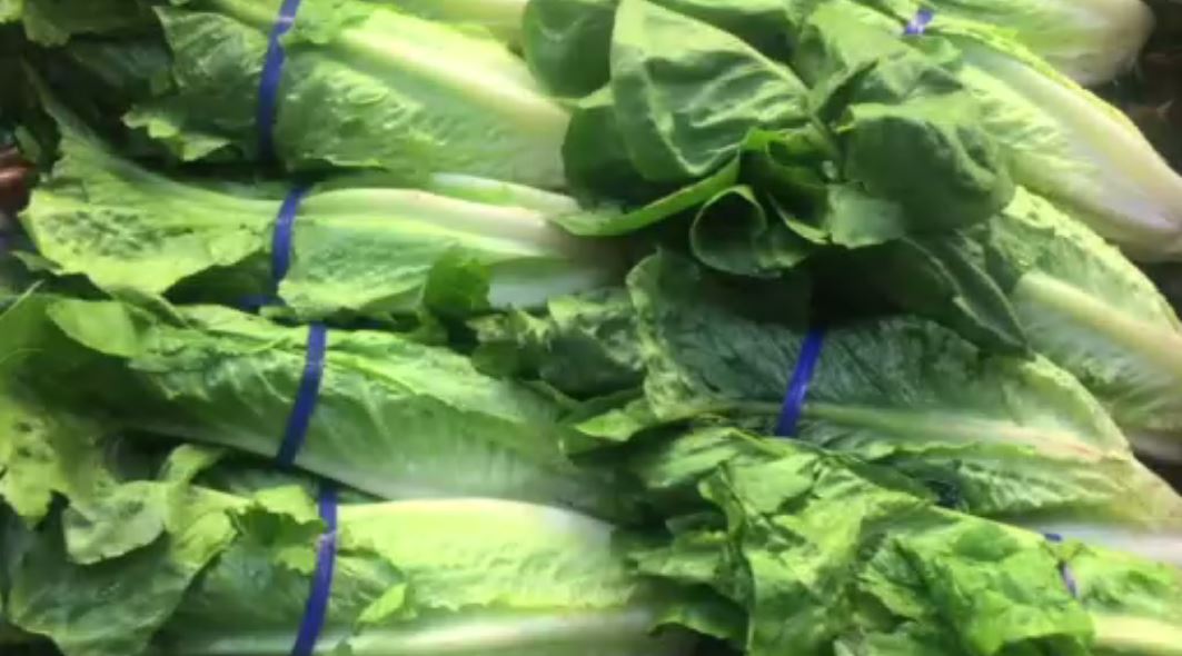 E. coli outbreak from romaine lettuce spreads to Florida WSVN 7News Miami News, Weather