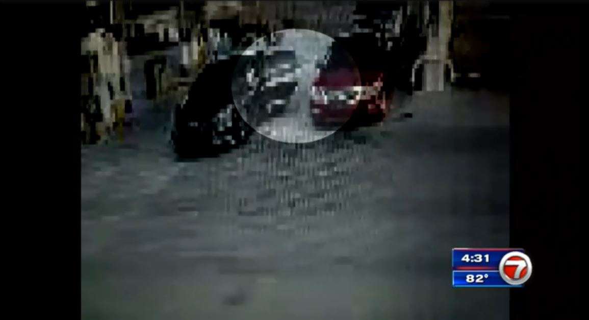 Cameras capture thief stealing purse from woman’s car at NE Miami-Dade ...