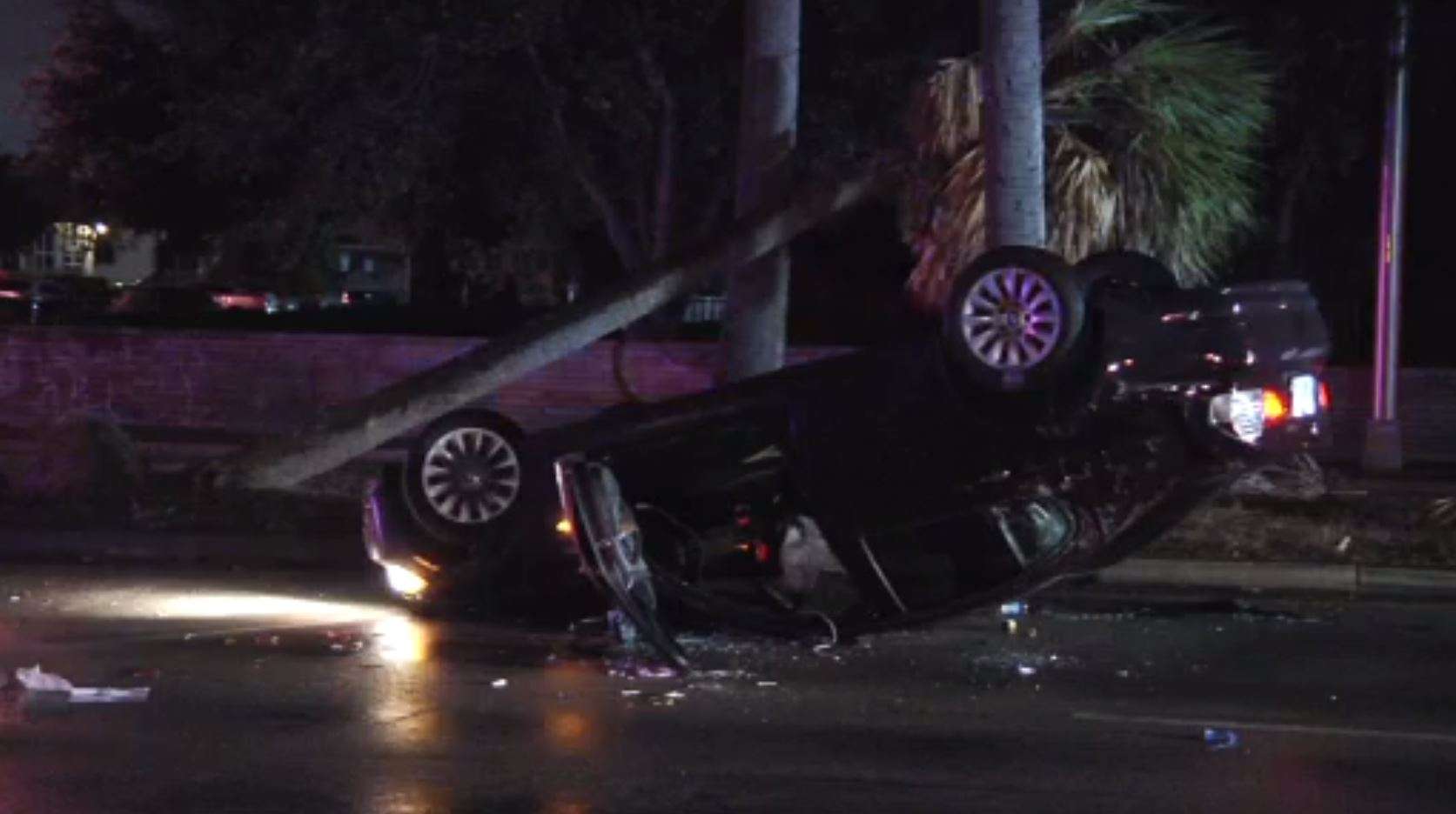 1 hospitalized after car crashes into curb, palm tree in NW Miami-Dade ...