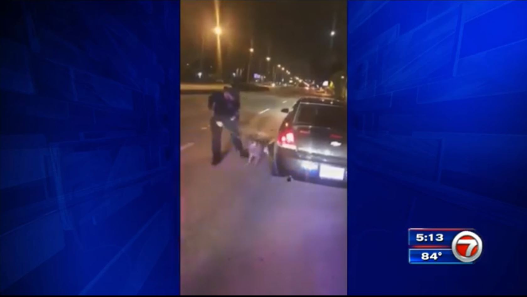 Video shows Wilton Manors officer yanking K9 partner’s leash, causes