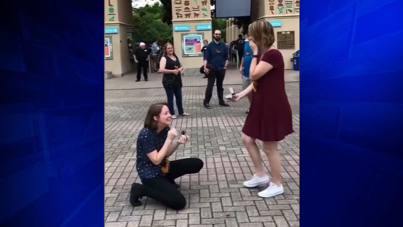 Couple proposes to each other at same time at Memphis Zoo WSVN 7News