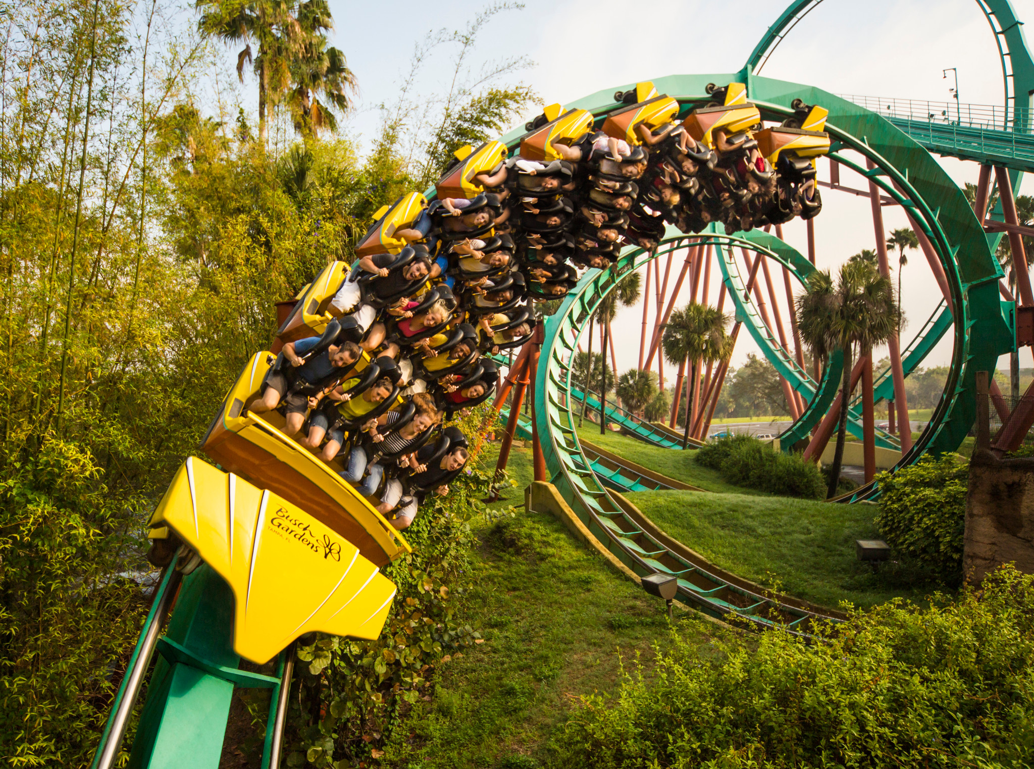 Busch Gardens Tampa Live Wait Times 06 - 0czd3wa