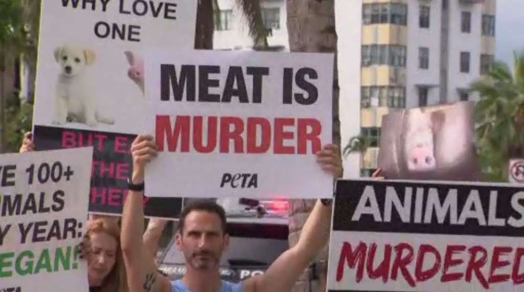 Animal rights activists protest outside South Beach hotel hosting pig roast  – WSVN 7News | Miami News, Weather, Sports | Fort Lauderdale