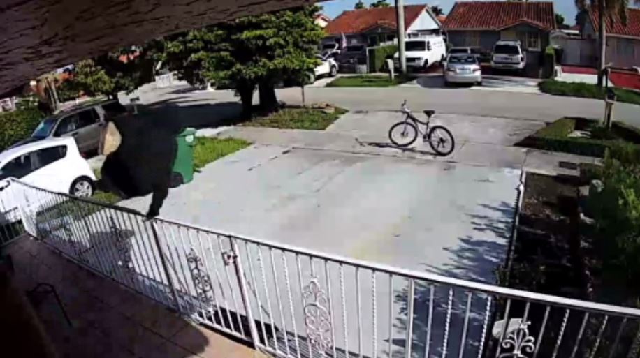 Bicyclist Swipes Package From Hialeah Gardens Home Wsvn 7news Miami