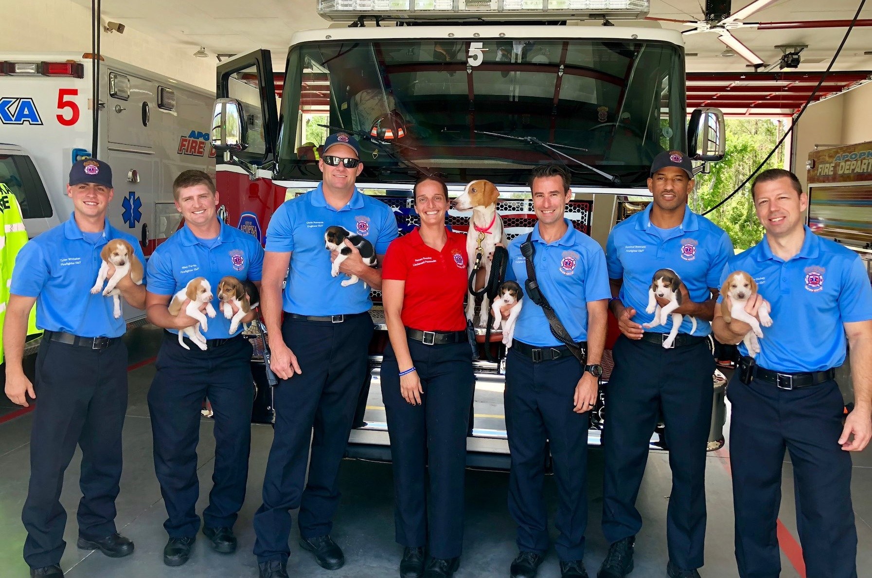 Florida firefighters save pregnant dog, help deliver seven puppies ...