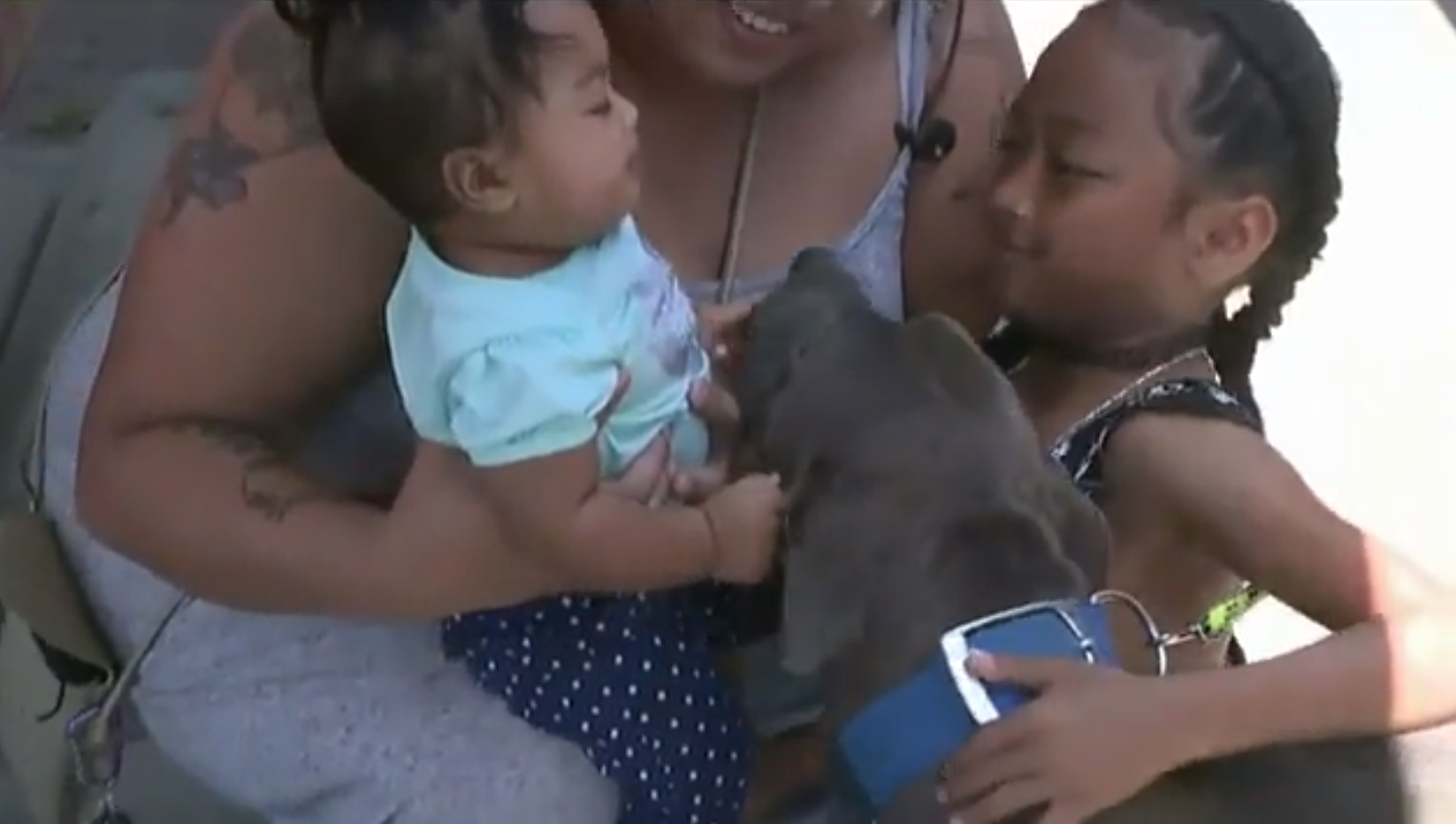Pit bull puppy saves family from house fire, tries to carry baby to ...