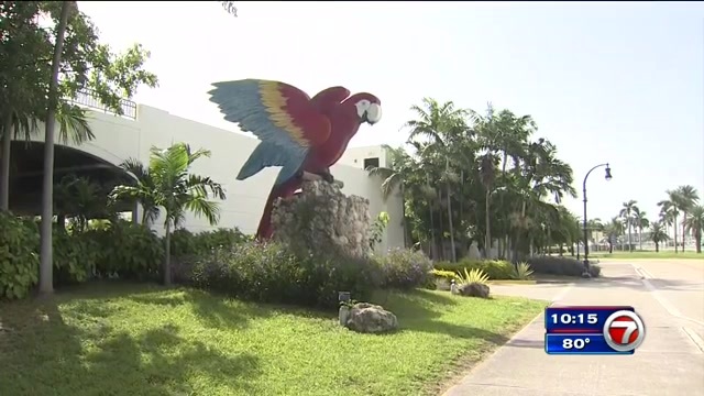 Jungle Island Closes Once Again Under Miami Dade County Emergency Order Wsvn 7news Miami News Weather Sports Fort Lauderdale Good company (when i'm with you) (ft. under miami dade county emergency order