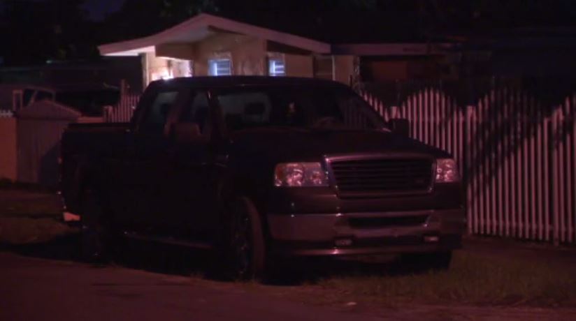 Owner, relative hurt after pit bull attack in Miami Gardens – WSVN