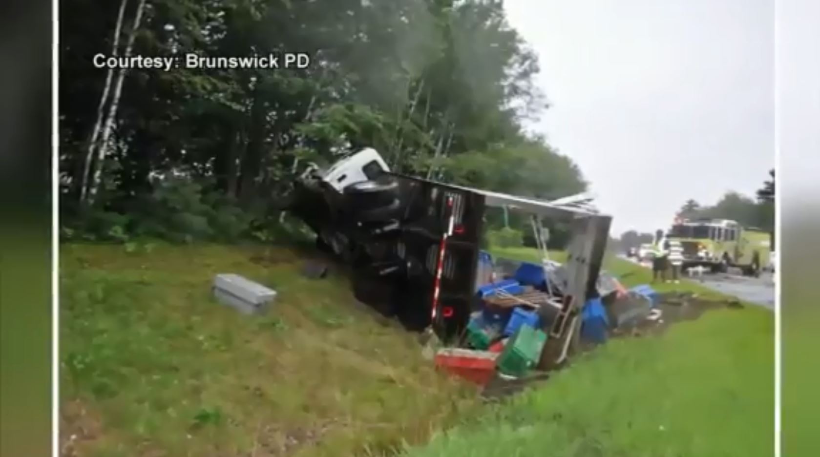 PETA wants to erect a roadside memorial for lobsters killed in a car wreck WSVN 7News Miami