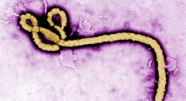 WHO Warns of Rapidly Spreading Ebola Outbreak in Congo