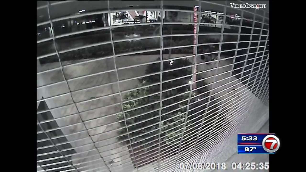 Man snatches woman’s purse in Miami - WSVN 7News | Miami News, Weather ...