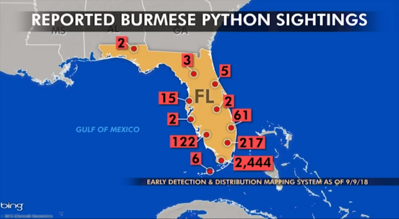 Python threat expanding beyond Florida Everglades, new study finds
