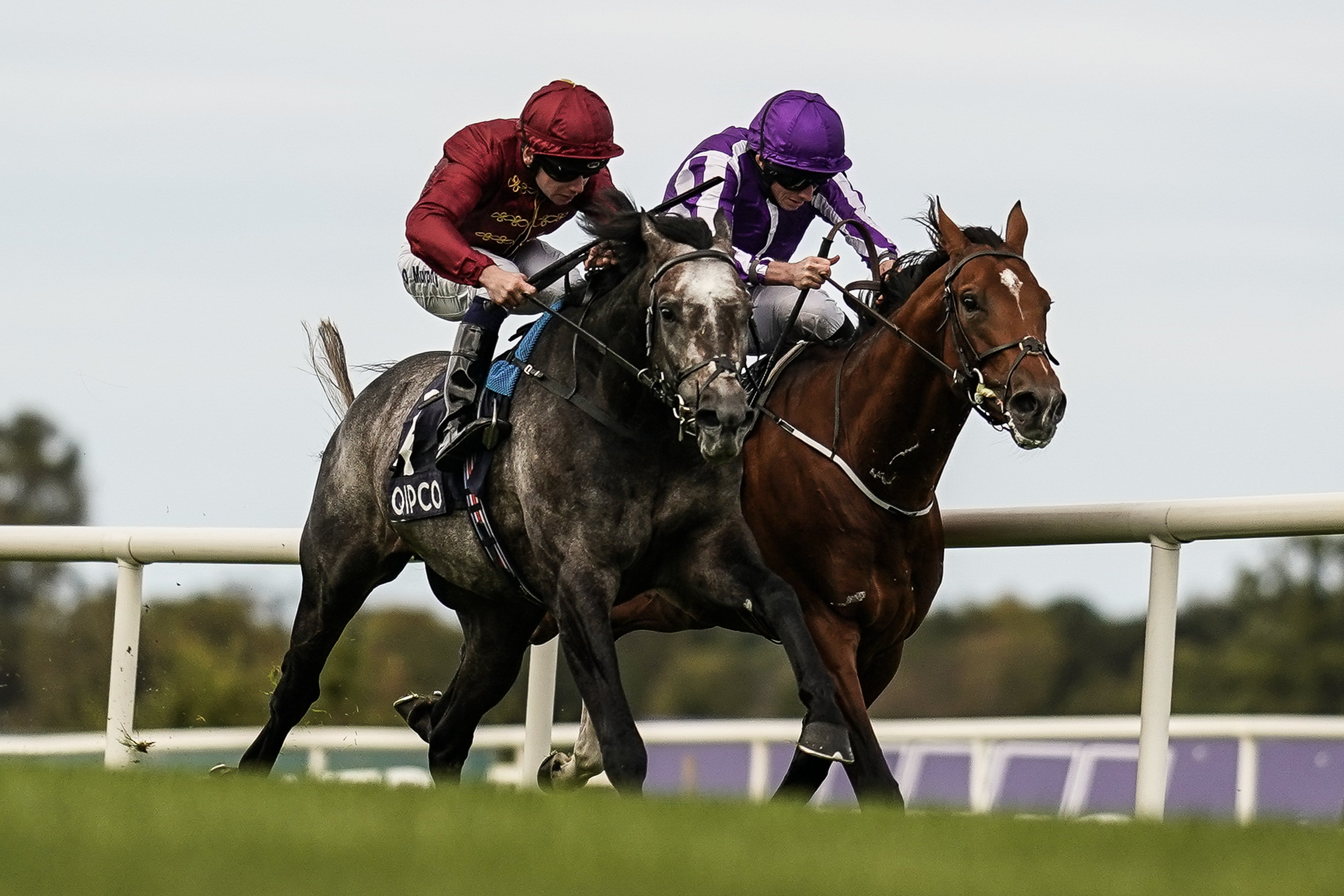 Roaring Lion claims victory at Irish Champion Stakes