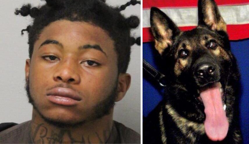 Florida man sentenced to 25 years in police dog killing case, kidnapping case