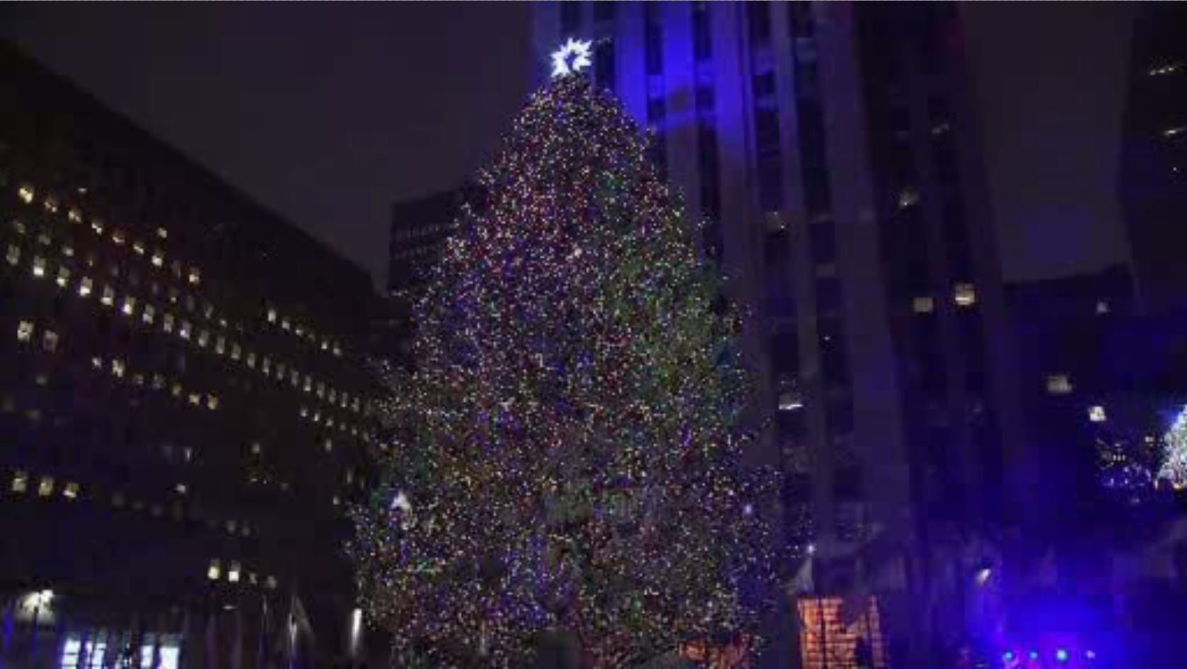 New York City’s Rockefeller Center Christmas tree goes up WSVN 7News