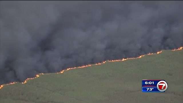 Brush fire consumes 800 acres in West Broward - WSVN 7News | Miami News ...