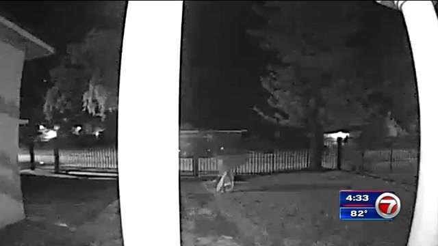 Man seen on surveillance stealing TV from Miami home - WSVN 7News ...