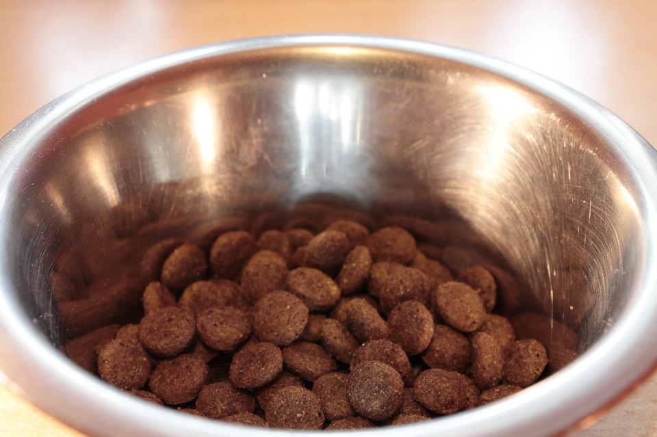 FDA identifies dog food brands possibly linked with canine heart