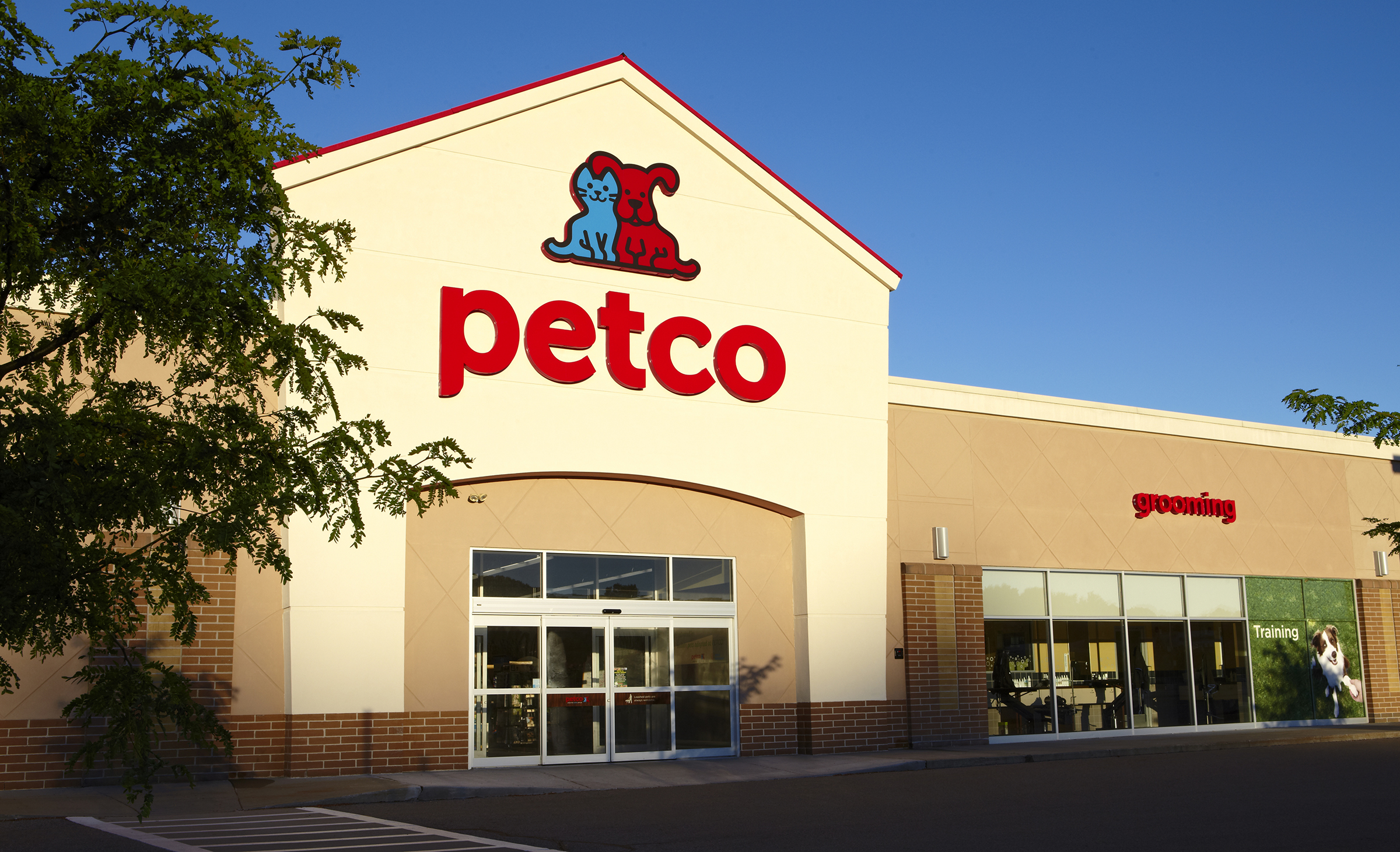 Petco cat hotsell food sale