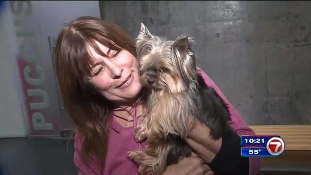 Woman reunited with dog stolen from car at Miami gas station - WSVN ...
