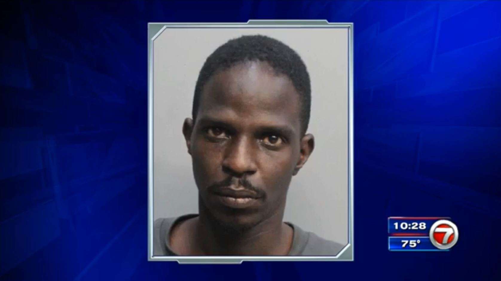 Man arrested after reportedly breaking into 10 vehicles in Miami - WSVN ...