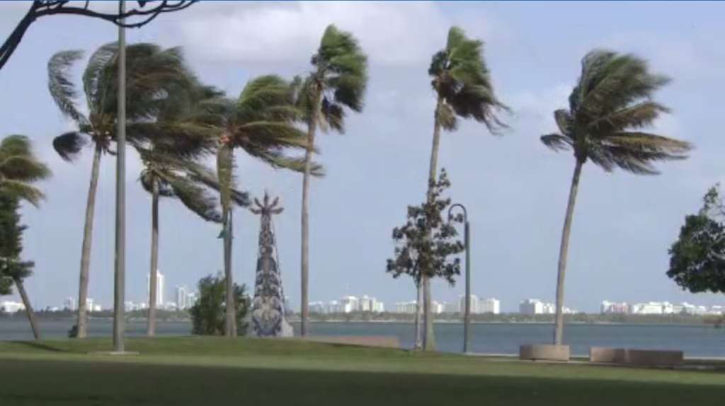 Gusty winds knock down power lines, trees in South Florida WSVN 7News