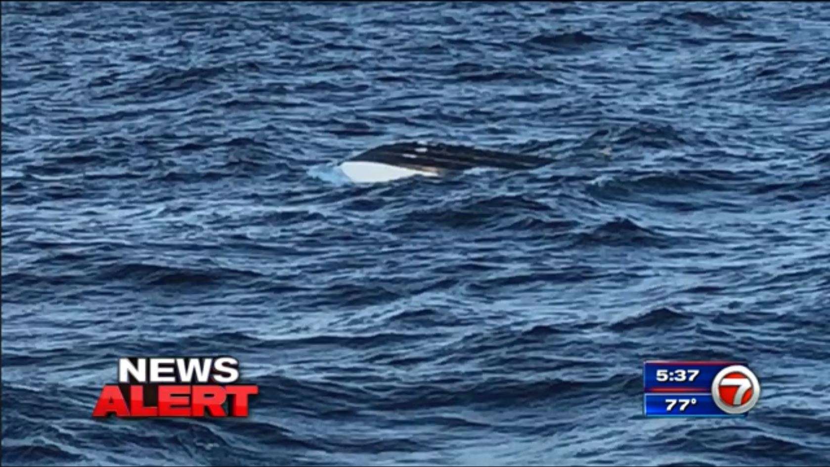 Coast Guard continues search for missing boaters off Florida - WSVN ...