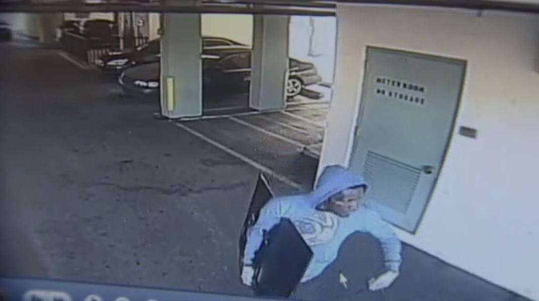 Crook caught on camera stealing TV from Miami apartment - WSVN 7News ...
