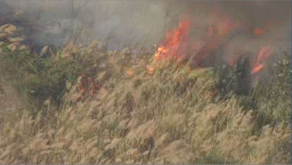 Crews put out brush fires in SW Miami-Dade - WSVN 7News | Miami News ...