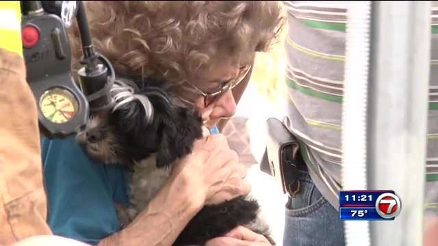 Crews find SW Miami-Dade woman’s missing dog after home catches fire ...