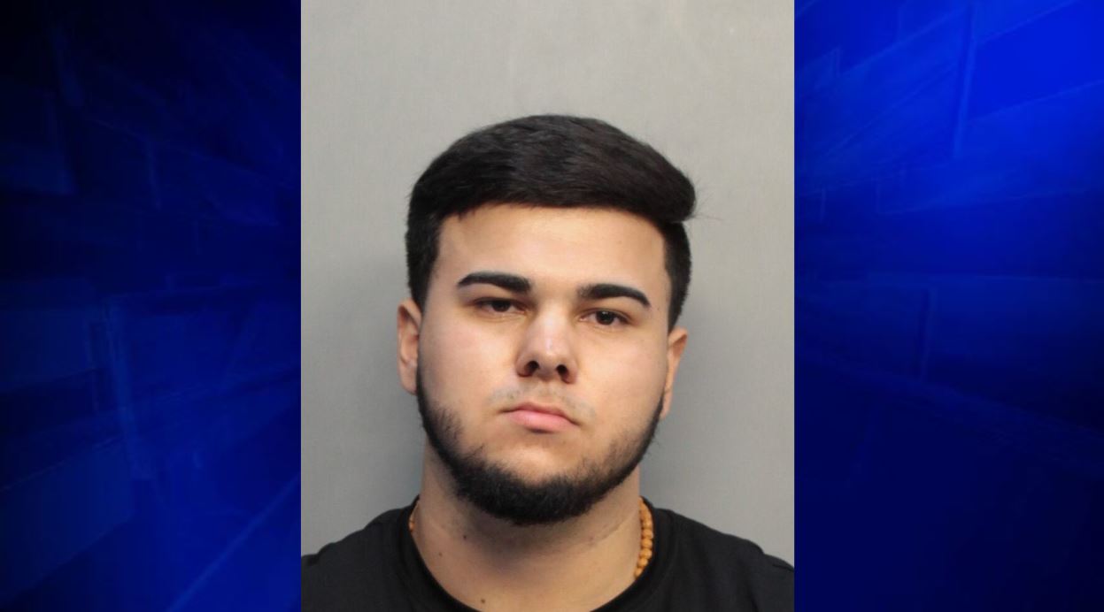 pet supermarket dog cone