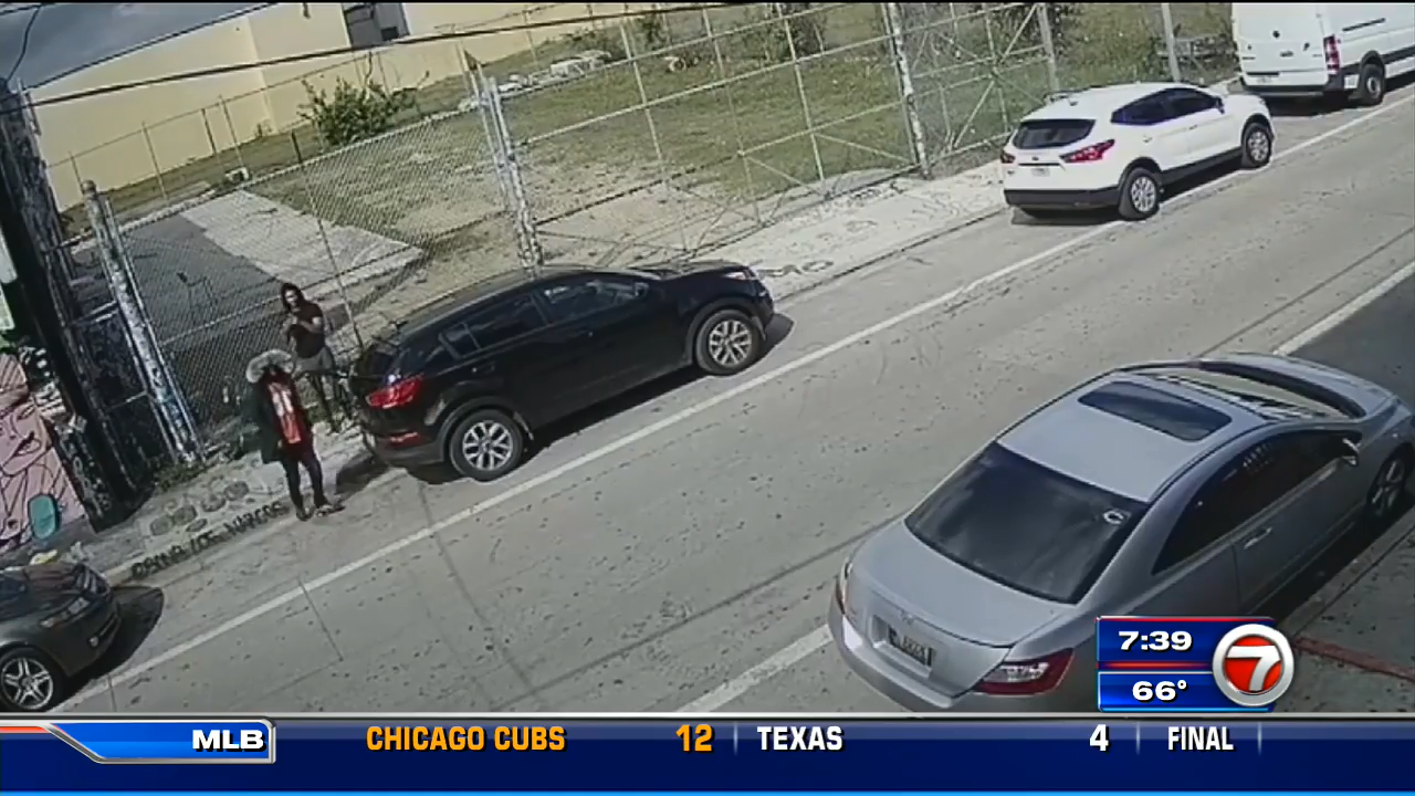 Man caught on camera stealing bag out of car in Miami - WSVN 7News ...