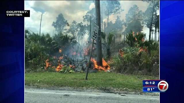 Crews put out fire near SW Miami-Dade park - WSVN 7News | Miami News ...