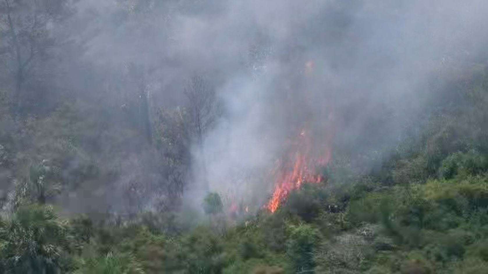 Pompano Beach brush fire 75% contained - WSVN 7News | Miami News ...