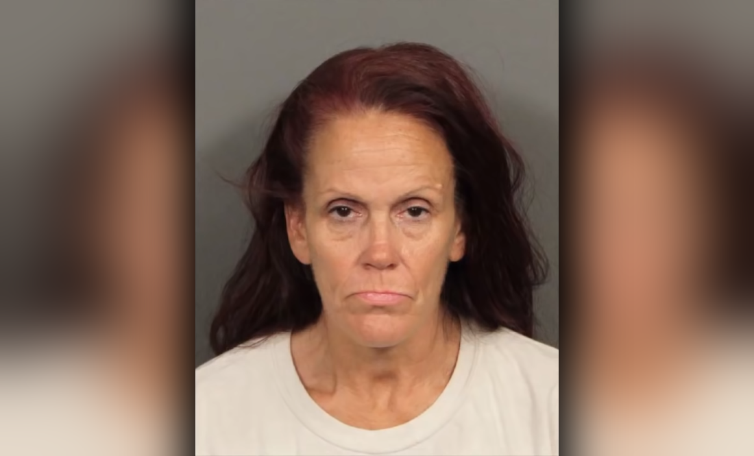 38 dogs removed from home of woman accused of throwing puppies into