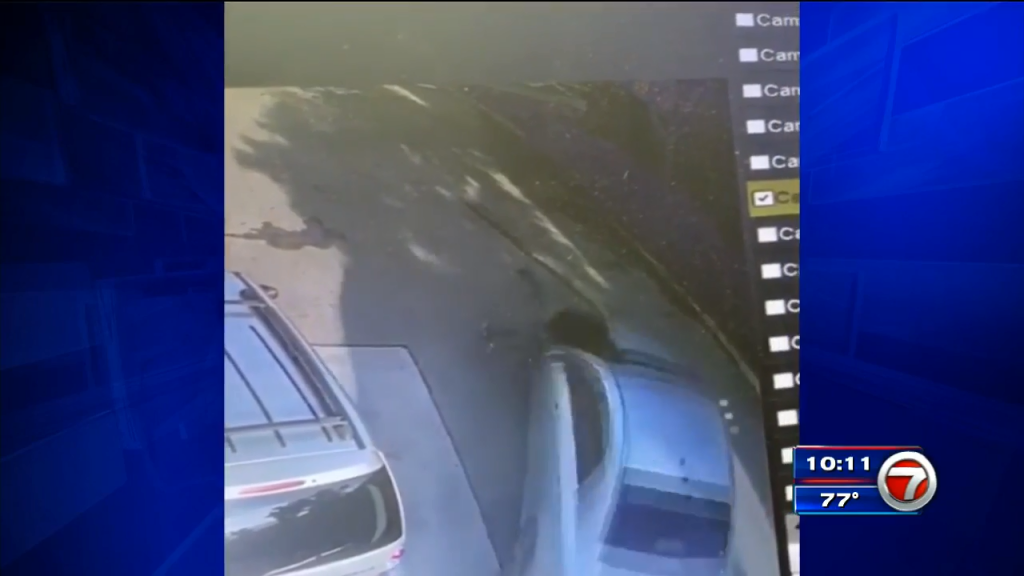 Pedestrian hospitalized following hitandrun in Opalocka WSVN 7News