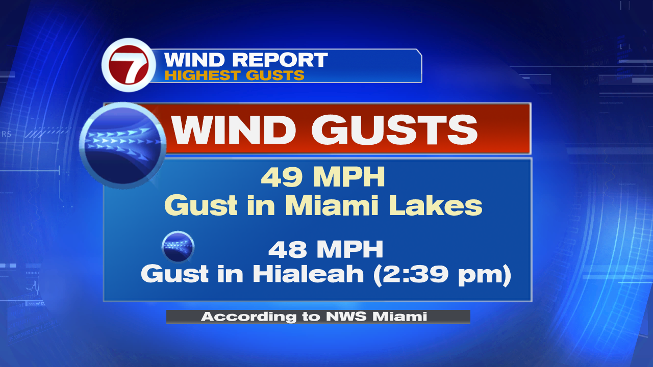 Storming back - WSVN 7News | Miami News, Weather, Sports | Fort Lauderdale