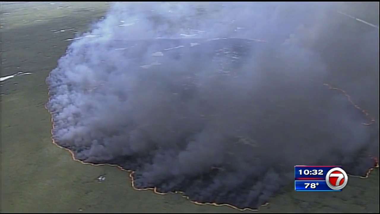 Grass fire burns 800 acres of land in West Broward - WSVN 7News | Miami ...