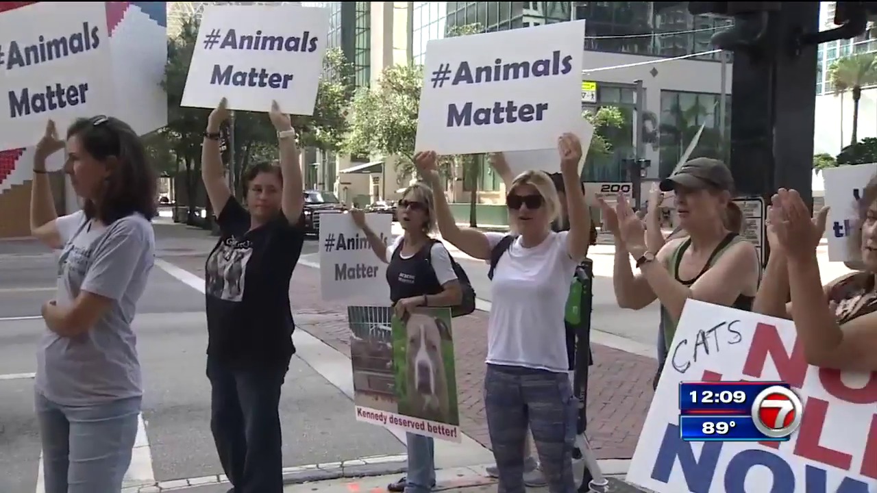 Protesters Too many animals being put down at Broward County Animal