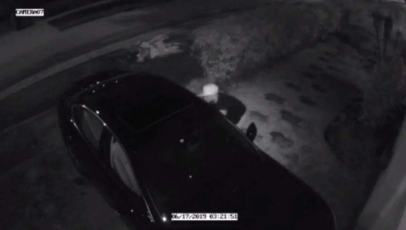 Man caught on camera stealing car in Miami - WSVN 7News | Miami News ...