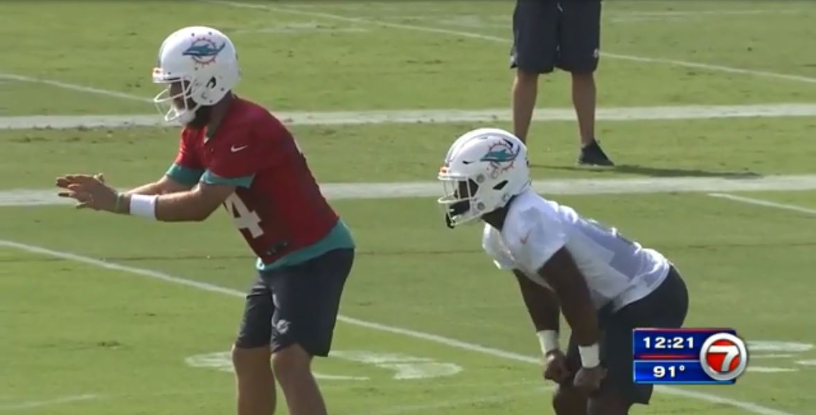 Miami Dolphins open preseason training camp in Davie WSVN 7News
