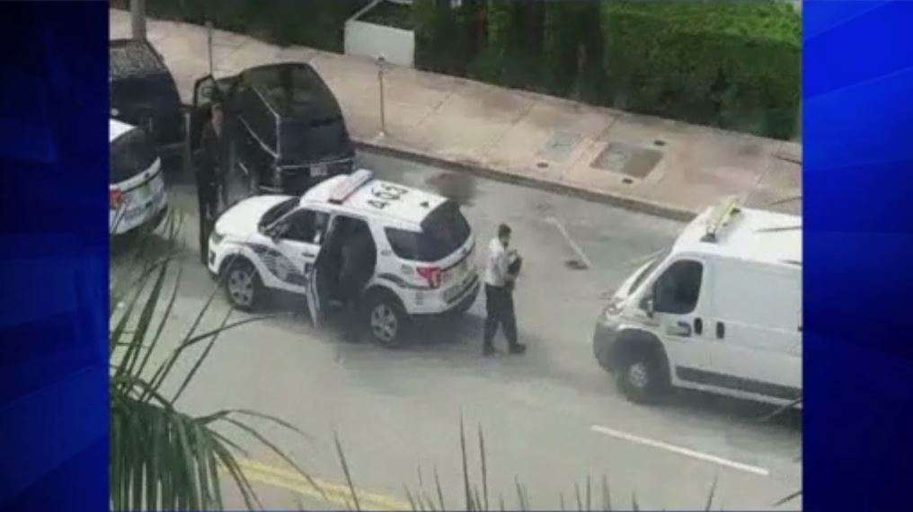 3 dogs freed from hot car in Coral Gables - WSVN 7News | Miami News ...